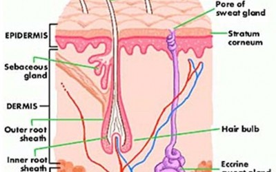 Fototerapia para el tratamiento del Acne Vulgaris