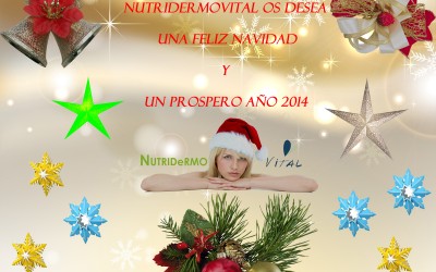 Feliz Navidad   –  Merry Christmas  –  メリークリスマス  –