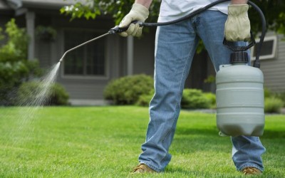 El glifosato, Toda la verdad sobre la sustancia química con la que fumigan nuestras calles y jardines.