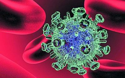 El «candado» genético que bloquea una de las rutas del virus del sida