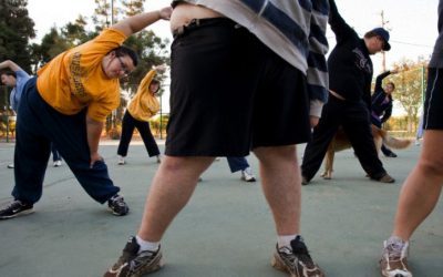 Suprimir la miostitina o  Una píldora para  sustituir al ejercicio físico y reduzca la obesidad