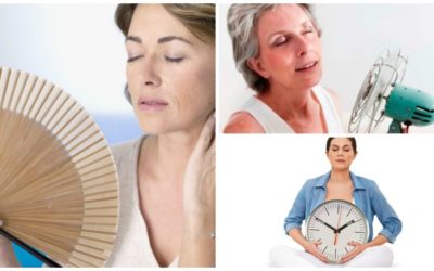 Algunas soluciones Naturales  Para aliviar la menopausia: